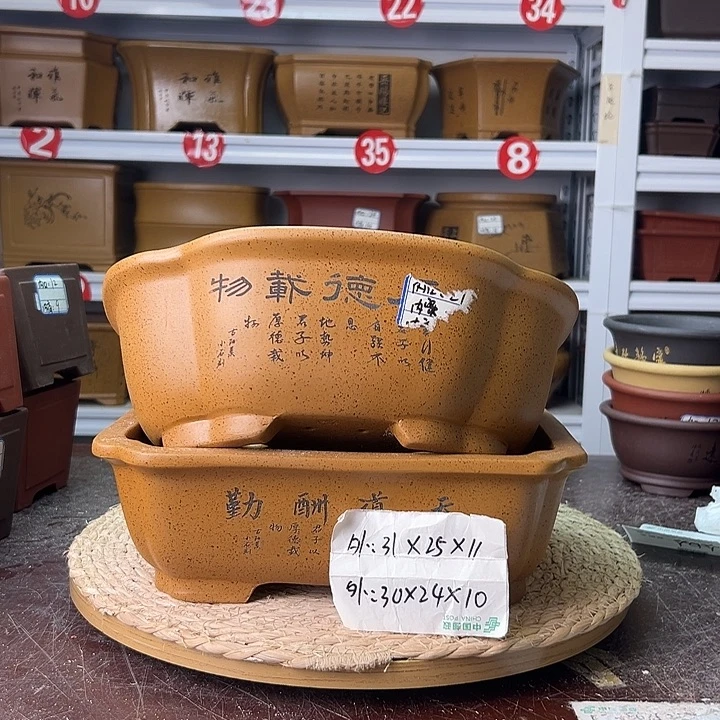 紫砂花盆蛇年大吉