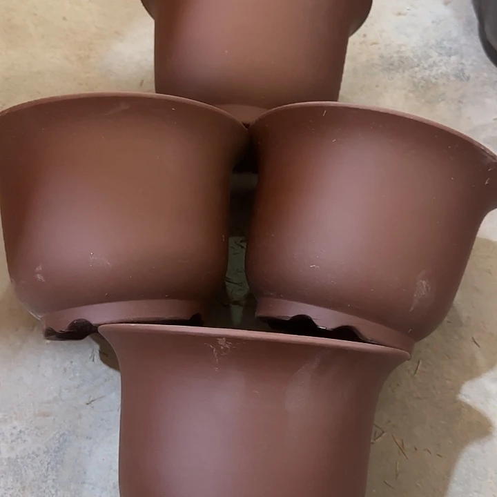 25×17四只福利价