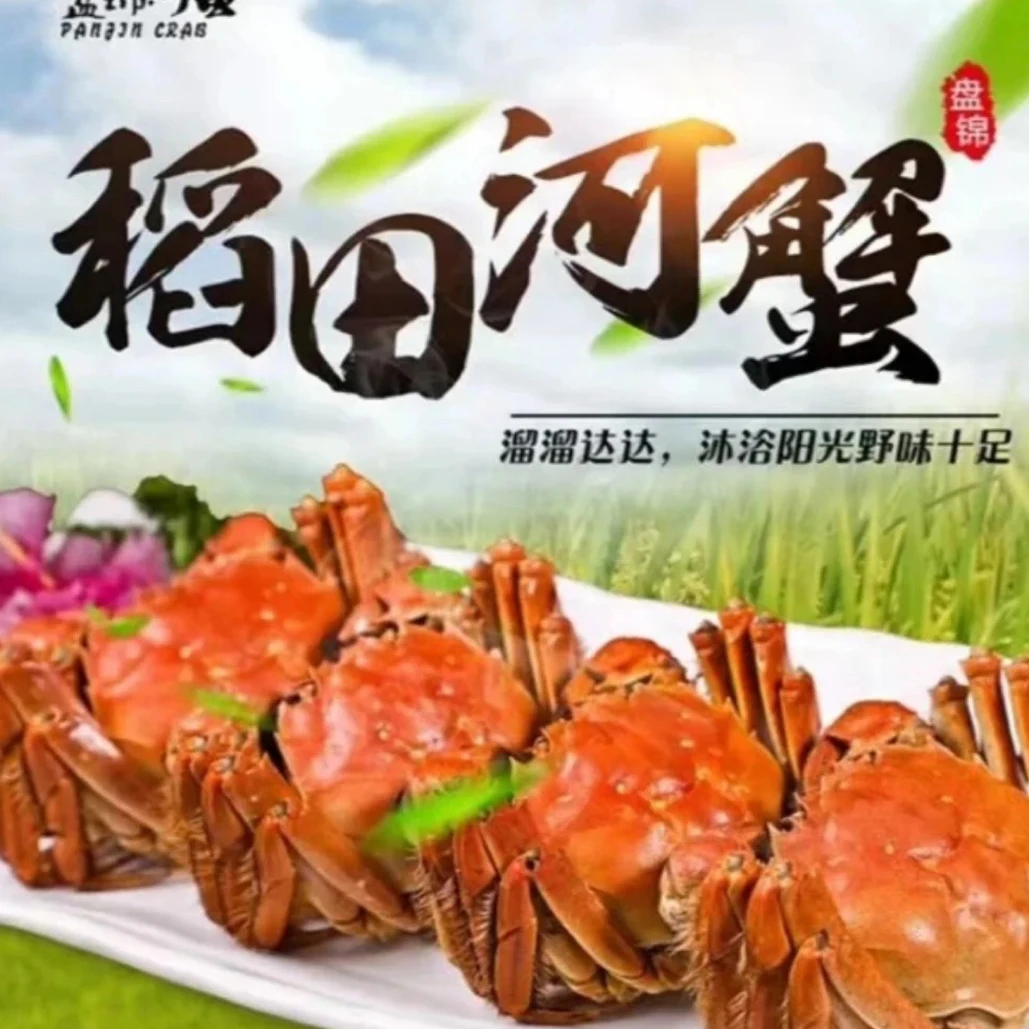 [单只重量0.9-1.2两]母蟹盘锦稻田河蟹，每份3斤（27-33只）