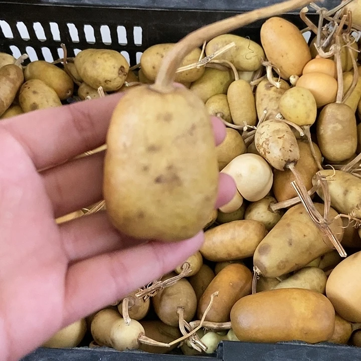 y*ss d g h j j k k