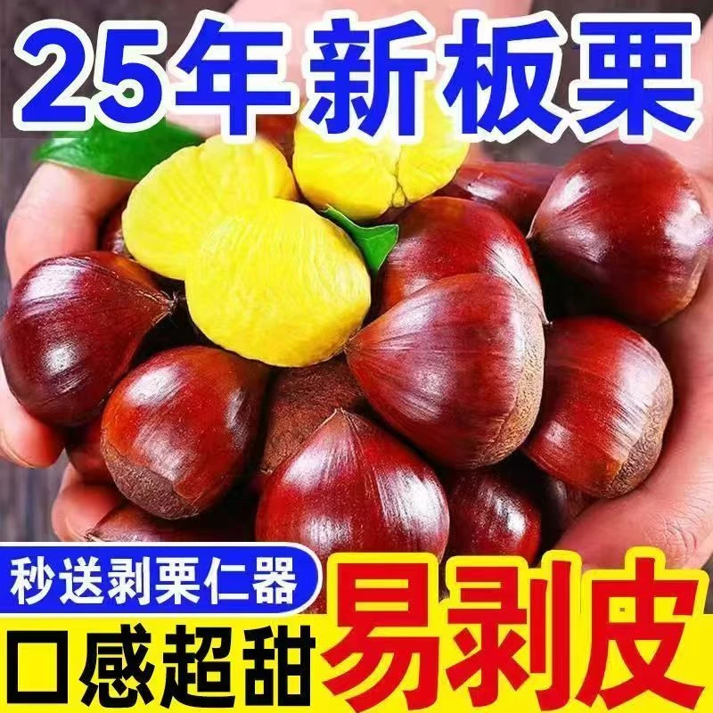 【2025新鲜板栗】深山优质新鲜带壳板栗甘甜清脆鲜香易去皮