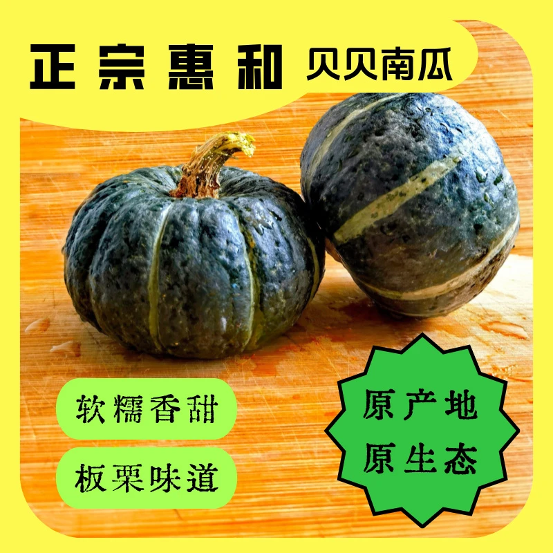 惠和一号贝贝南瓜板栗味粉糯香甜新鲜可作宝宝辅食沙地正宗