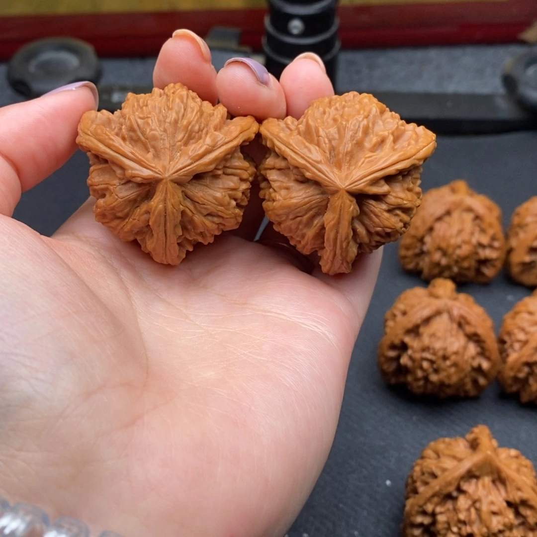 *️白狮子凄凄切切凄凄切切去