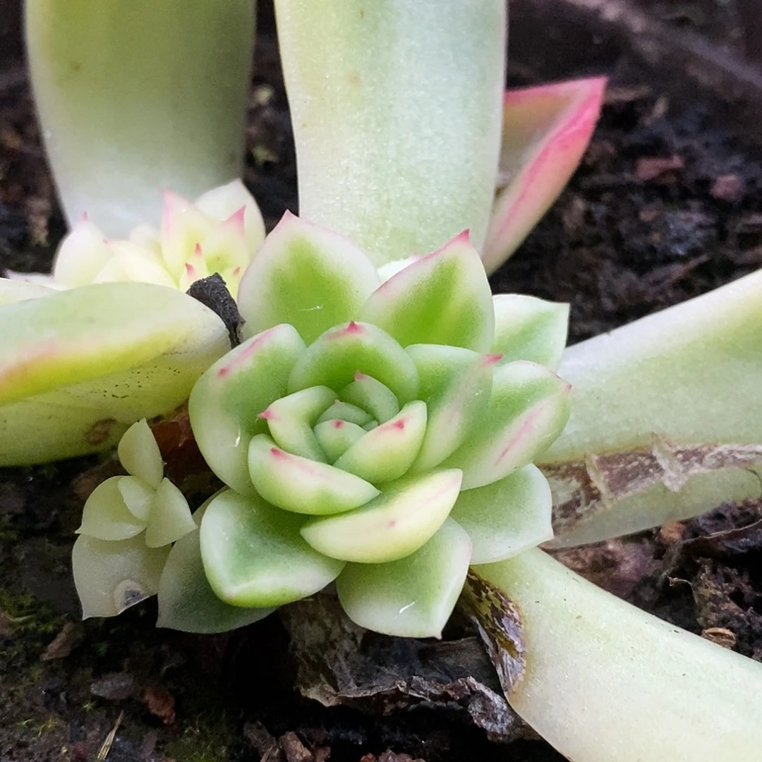 616福利哈哈哈哈哈哈哈哈