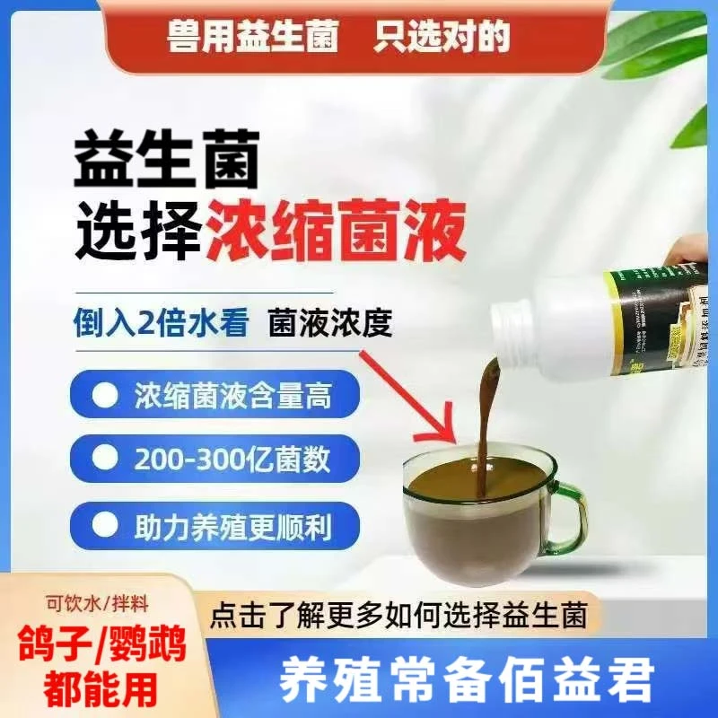 鸽子专用【活菌王】500ml大瓶益生菌活菌赛鸽种鸽肉鸽幼鸽专用