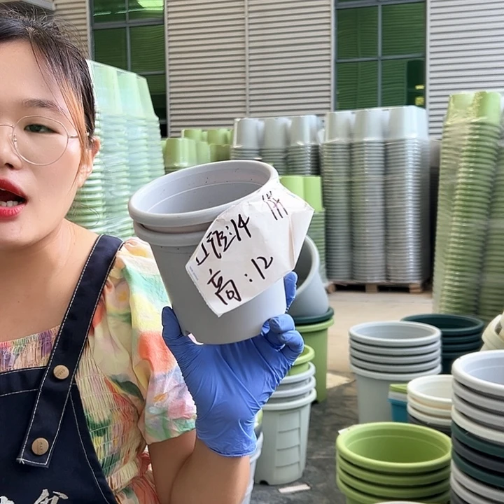 四季盆1#灰白色10个无托