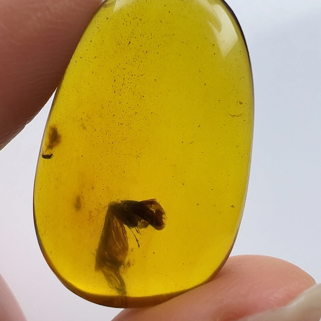 琥珀未镶嵌裸石琥珀虫珀
