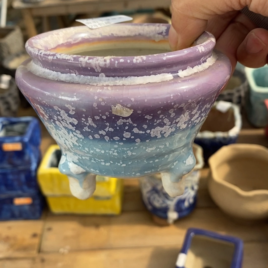 11号多肉盆口径8小可爱