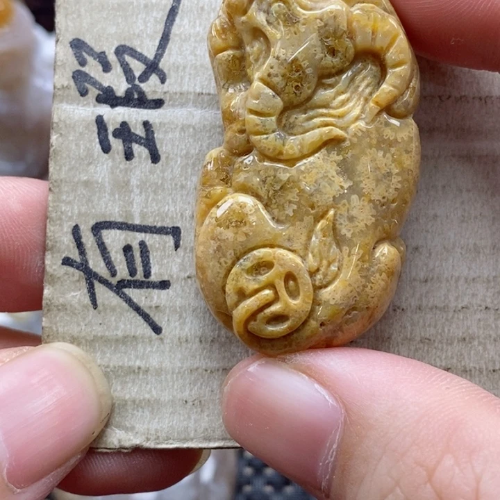 硅化珊瑚（珊瑚玉）颈饰未镶嵌