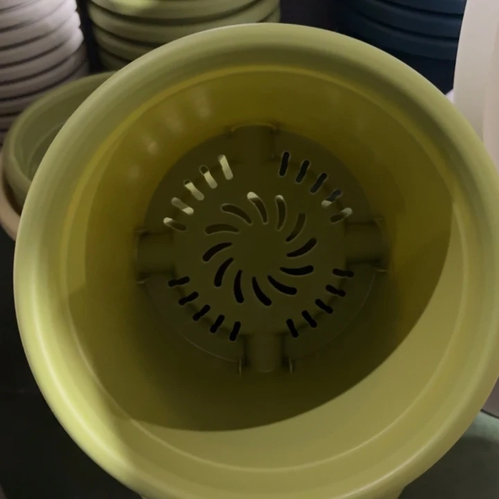 微瑕3号无托果绿10个