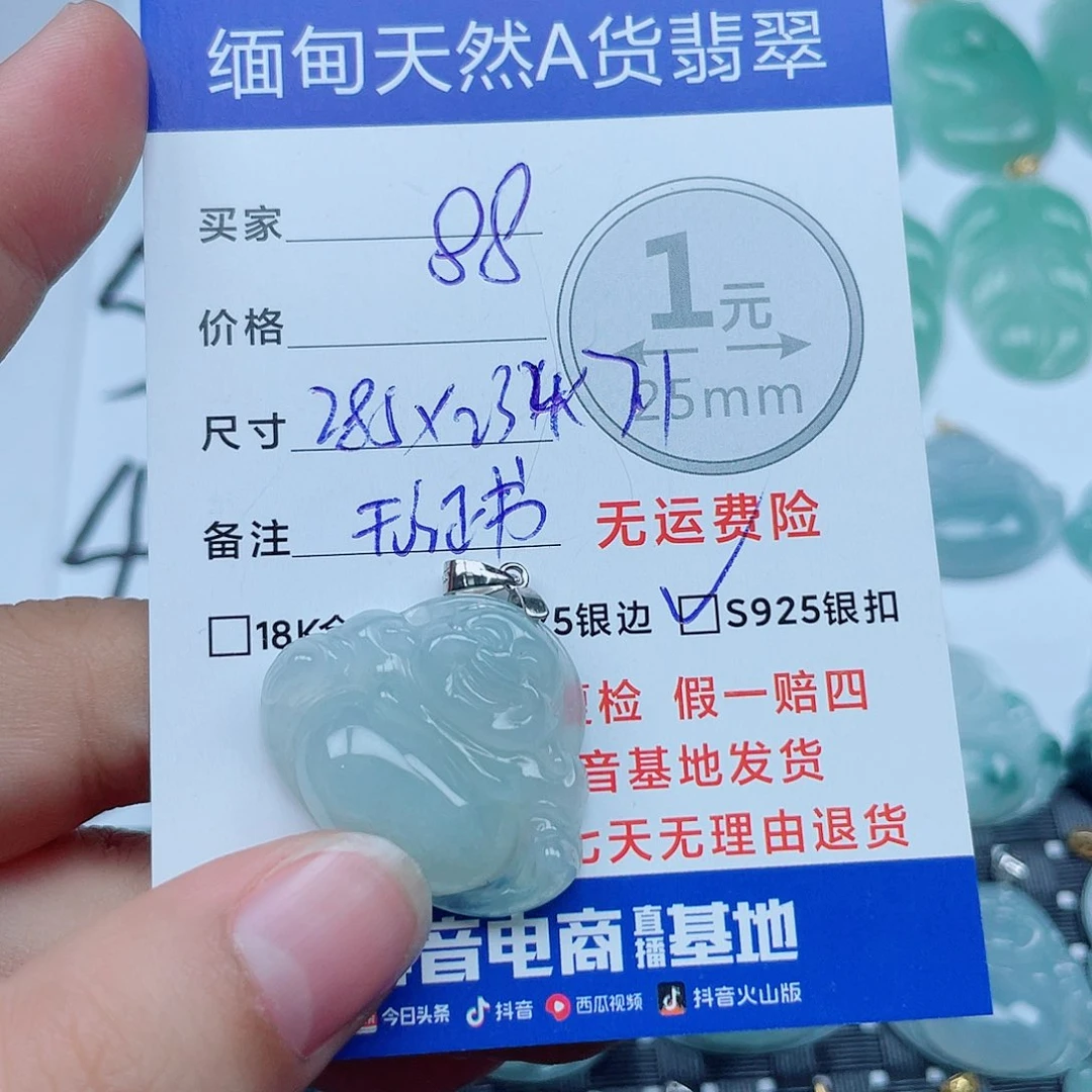 翡翠银S925镶嵌颈饰翡翠