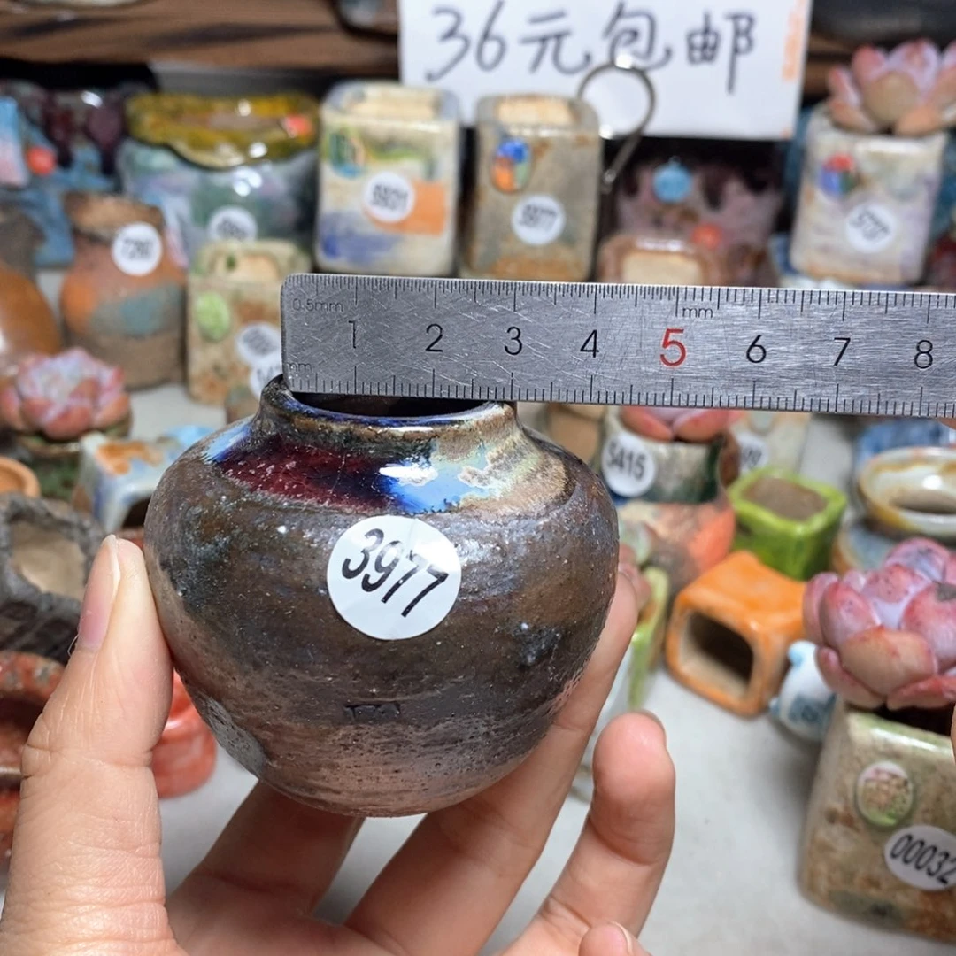 拍5送一个小礼物