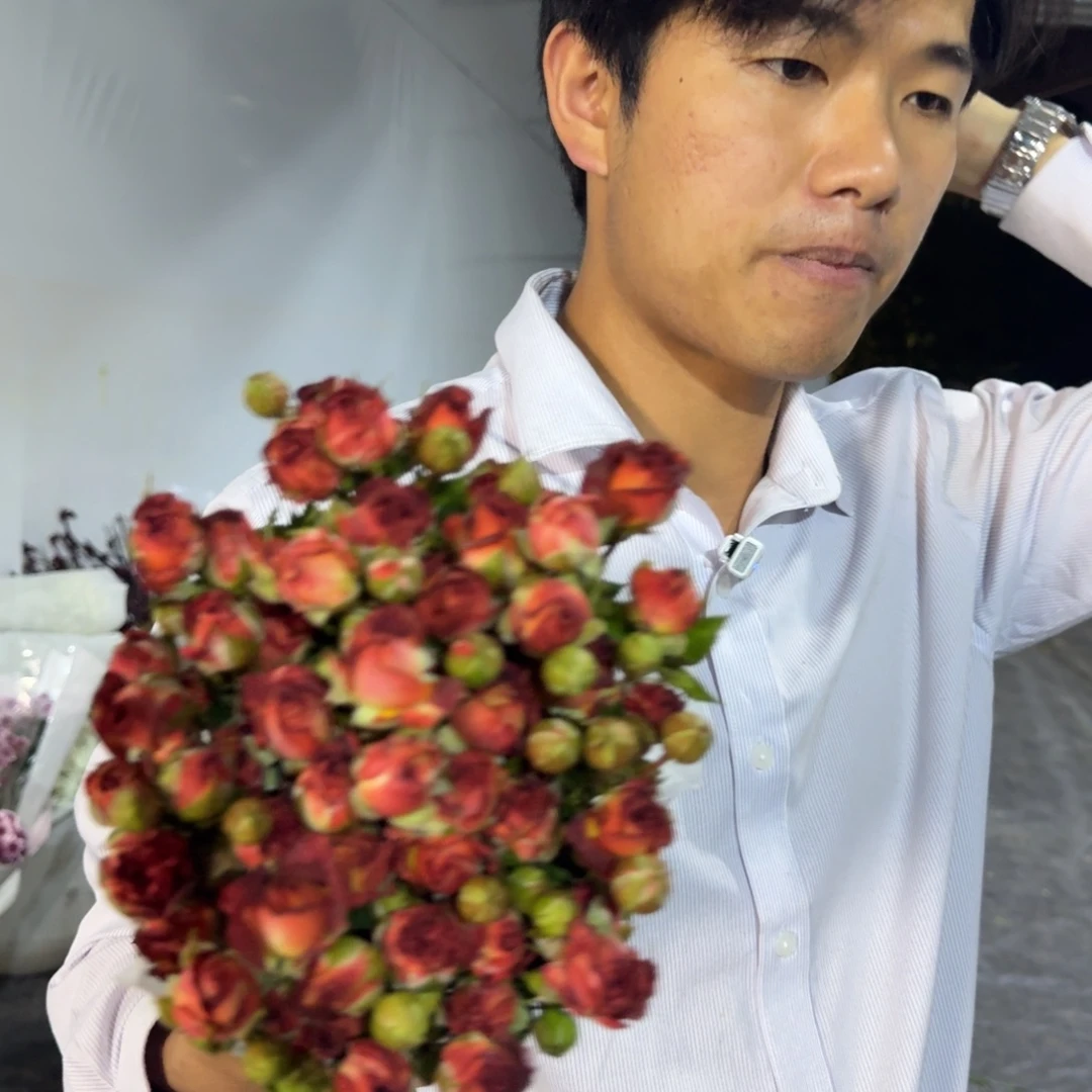 巧克力1扎包邮价秒杀