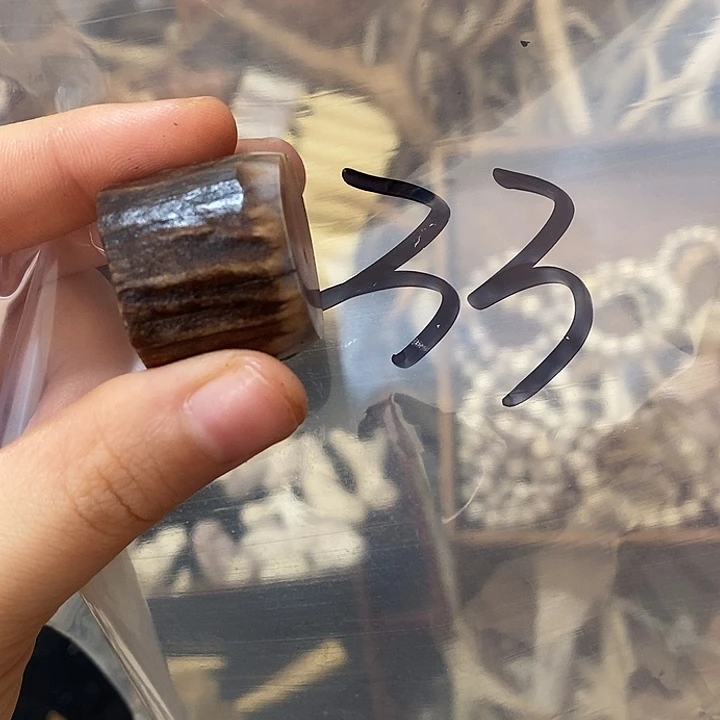 金****无非金属鹿角鹿角