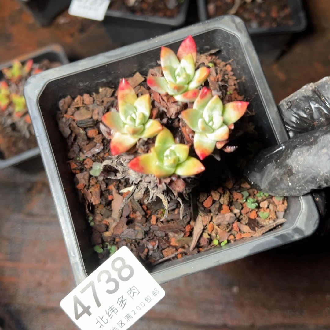 4738哈哈哈哈哈哈哈哈