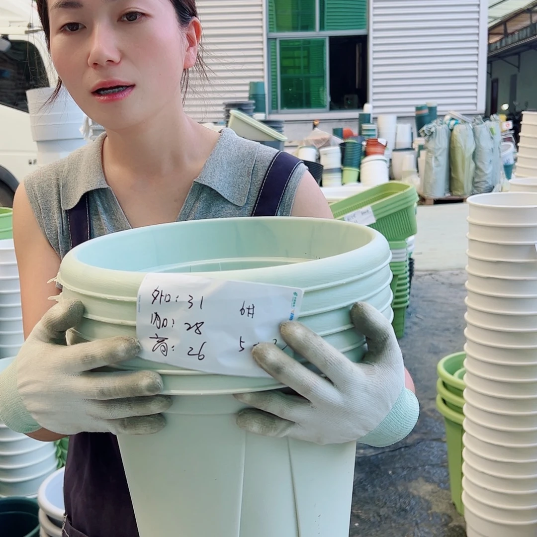 青山盆6#米白5个无托