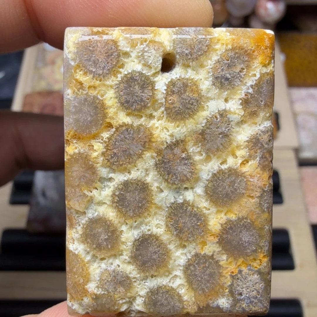 硅化玉未镶嵌纯天然色有机玉石保真色骨骼花