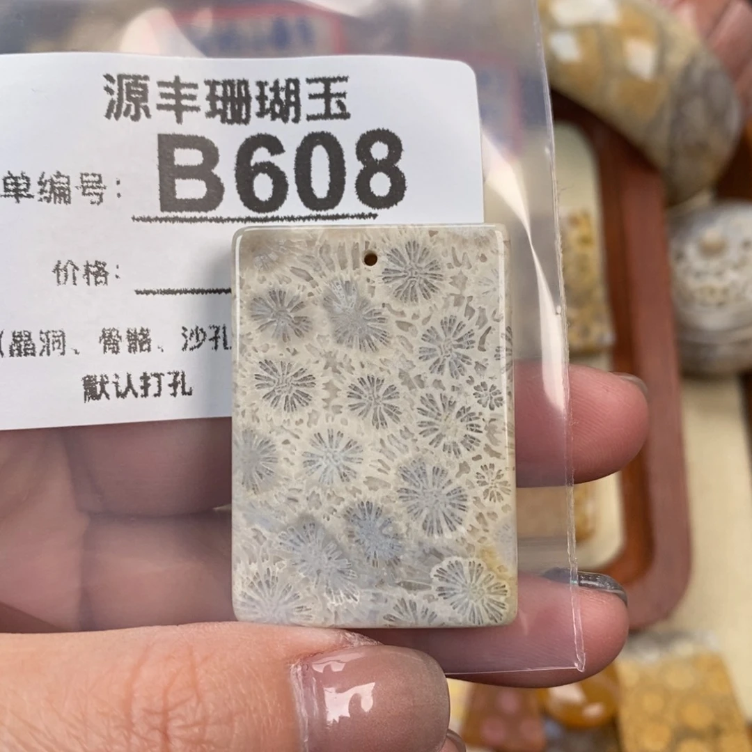 硅化玉颈饰未镶嵌阿*