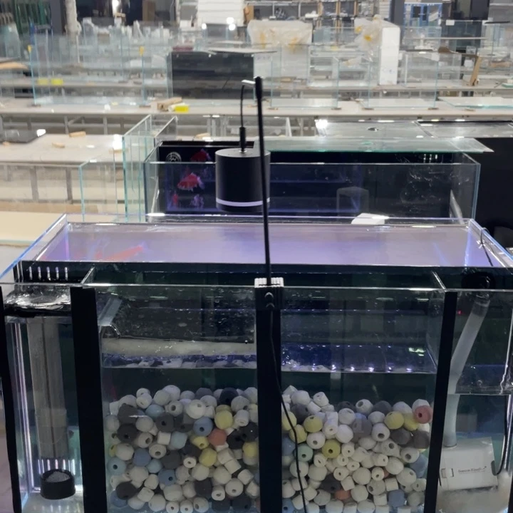 °****50 40 40背单全套