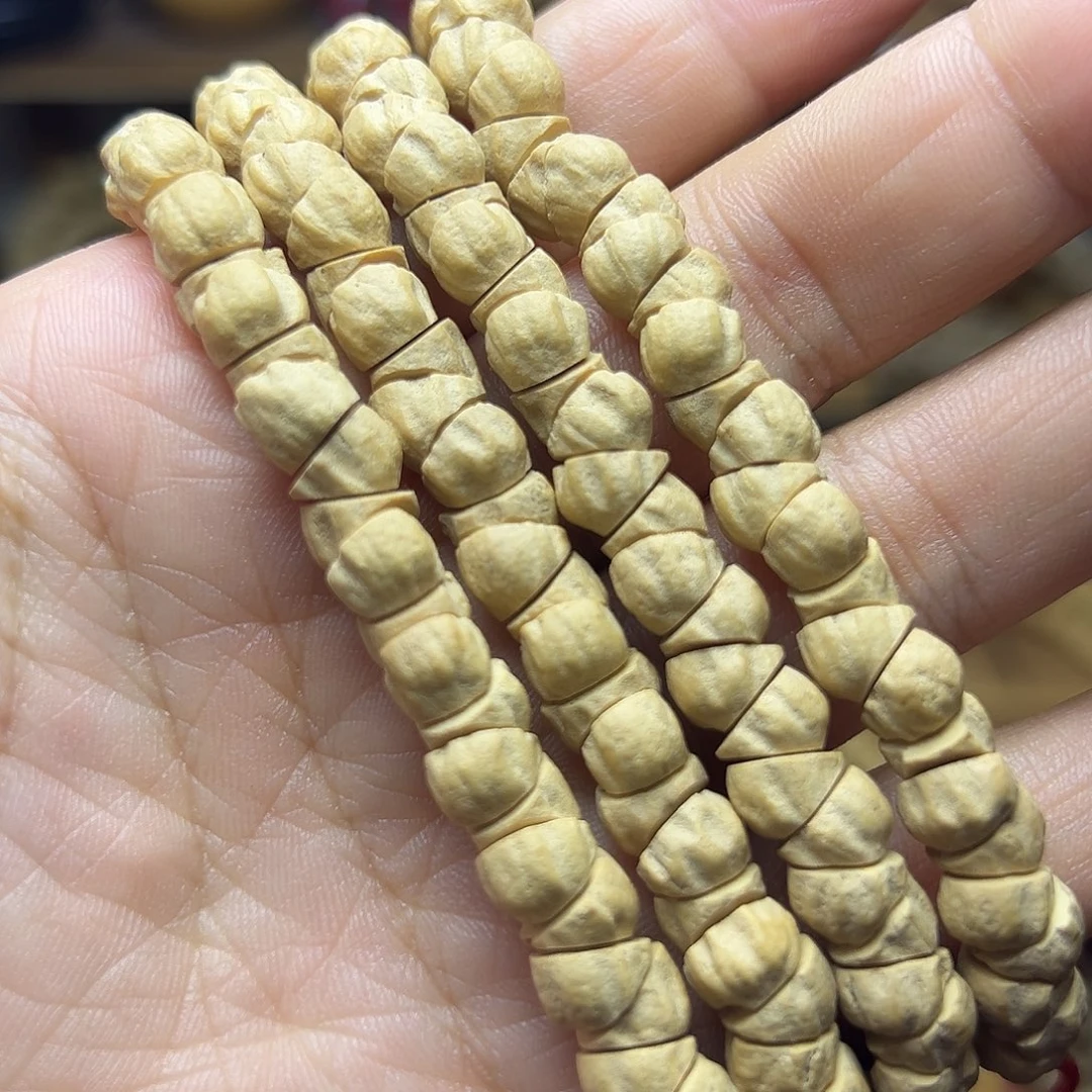 吊坠柏香籽/百香籽大尺寸大肠