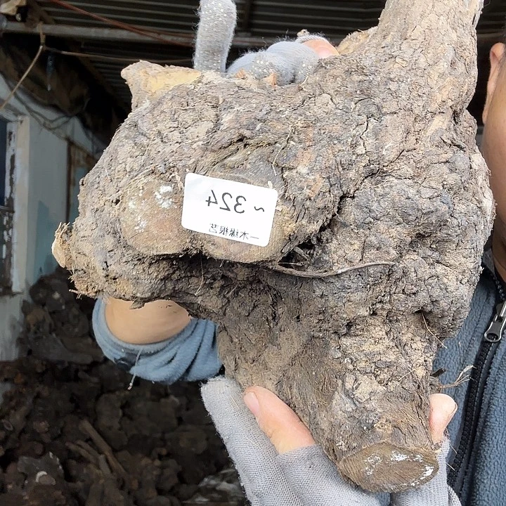 。***么无花朵80000000324