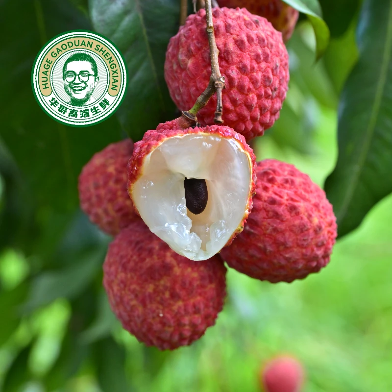 【增城基岗村仙进奉】广东荔枝3斤5斤装果冻口感香甜多汁