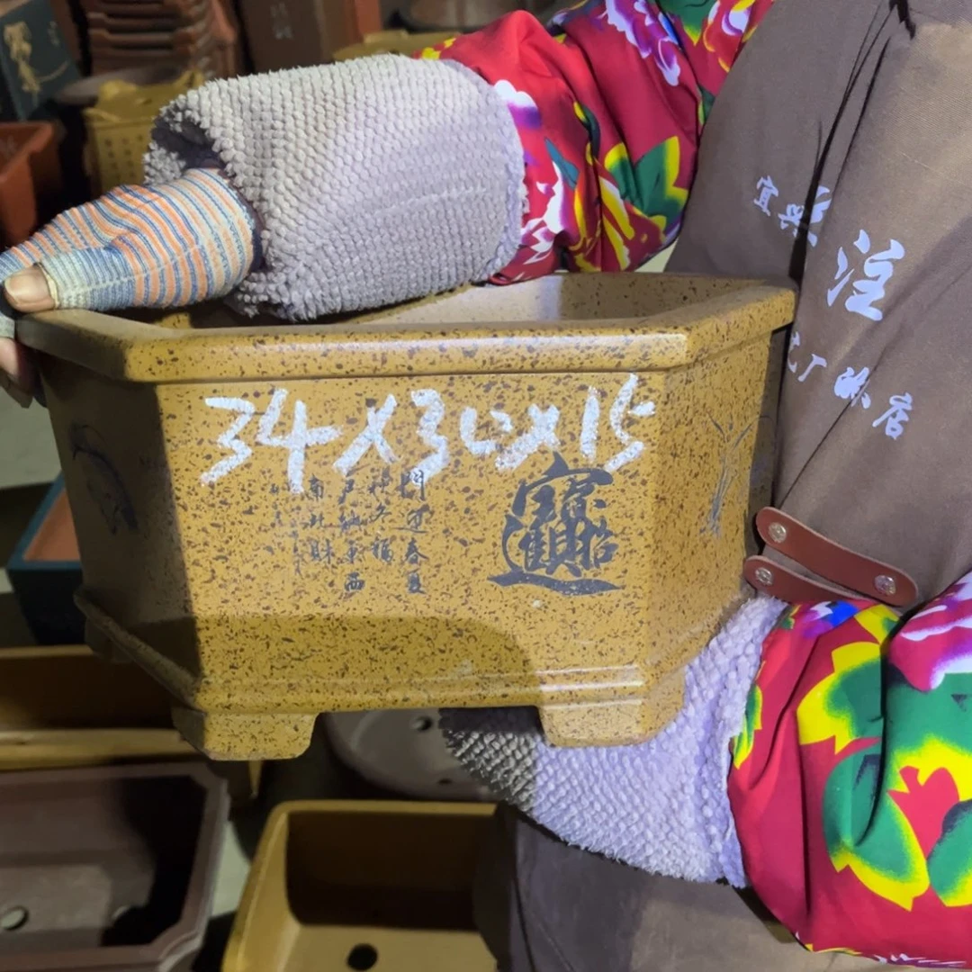 紫砂花盆盆景艺术