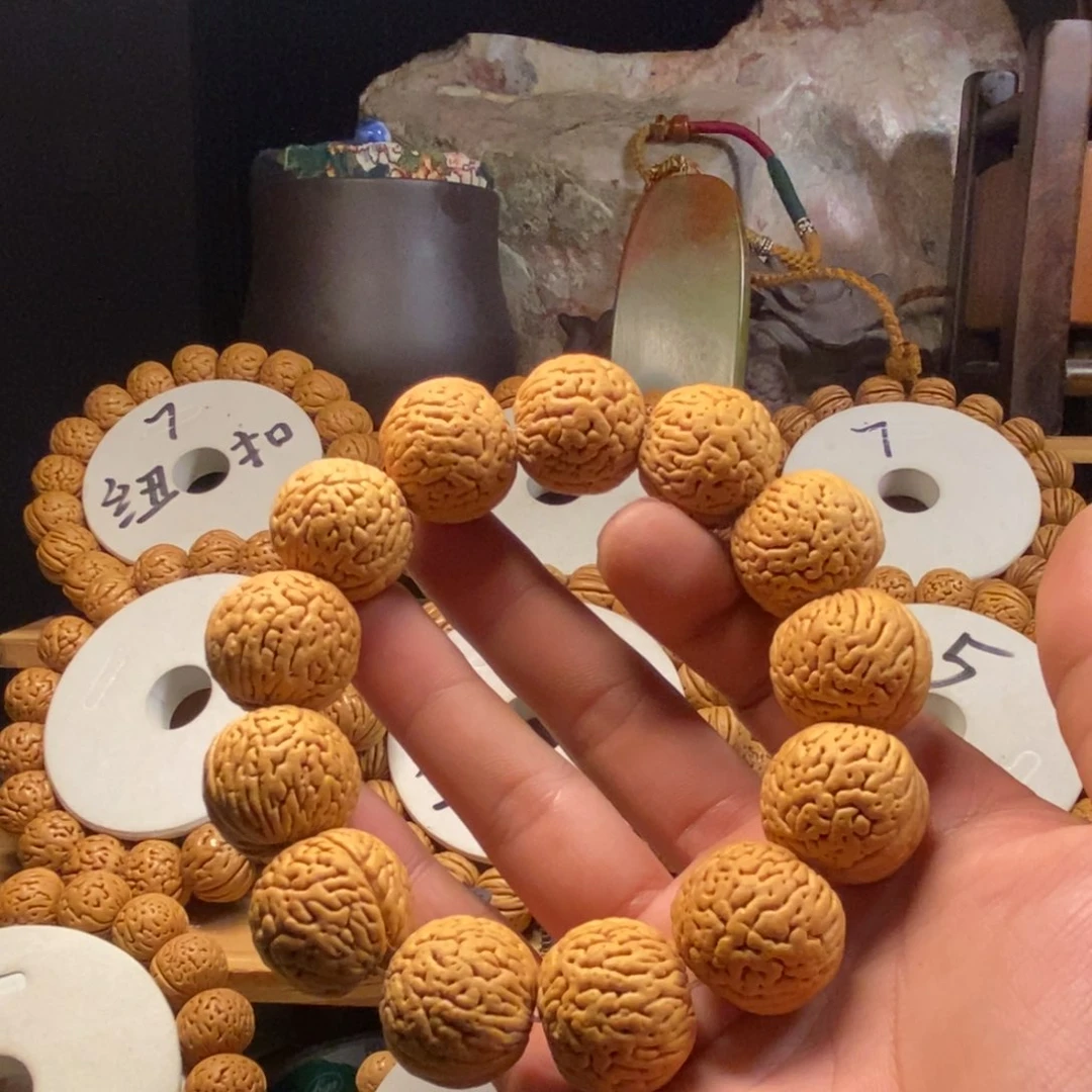 天*者23白月光23白月光