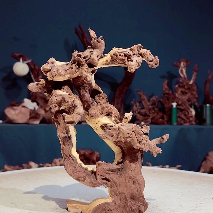 森***仓木084 金丝红木羊蹄甲半成品