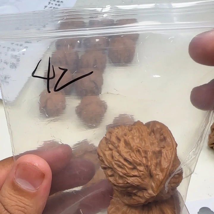 御***殊把件文玩核桃42白狮子
