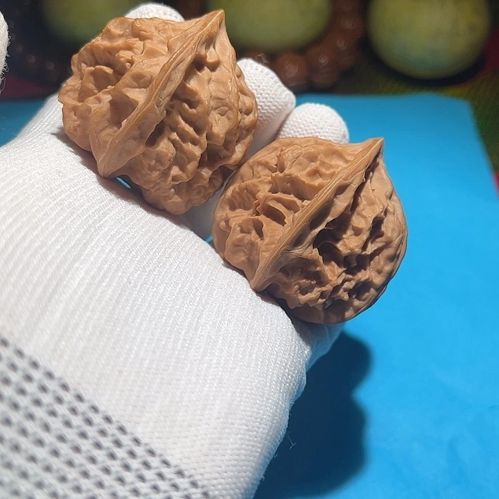 龙脊菩提吊坠龙骨