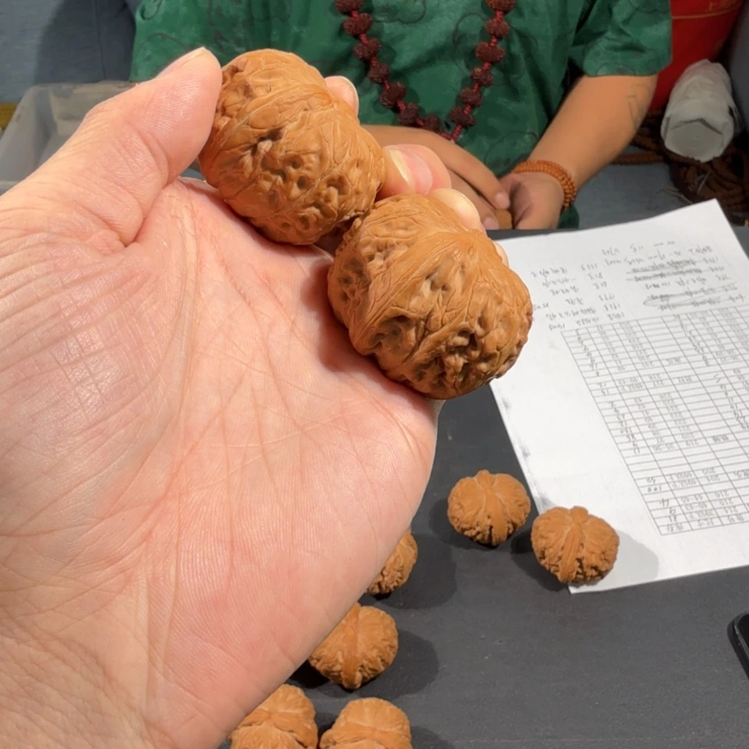 文玩核桃把件231号42mm元宝