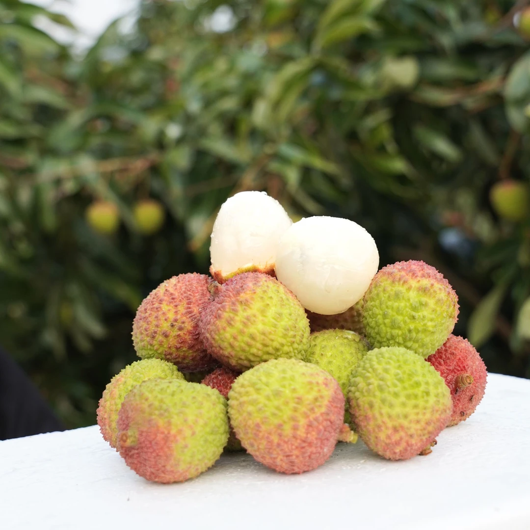 【顺丰冷链】妃子笑头茬果荔枝原产地新鲜现摘现发当季水果