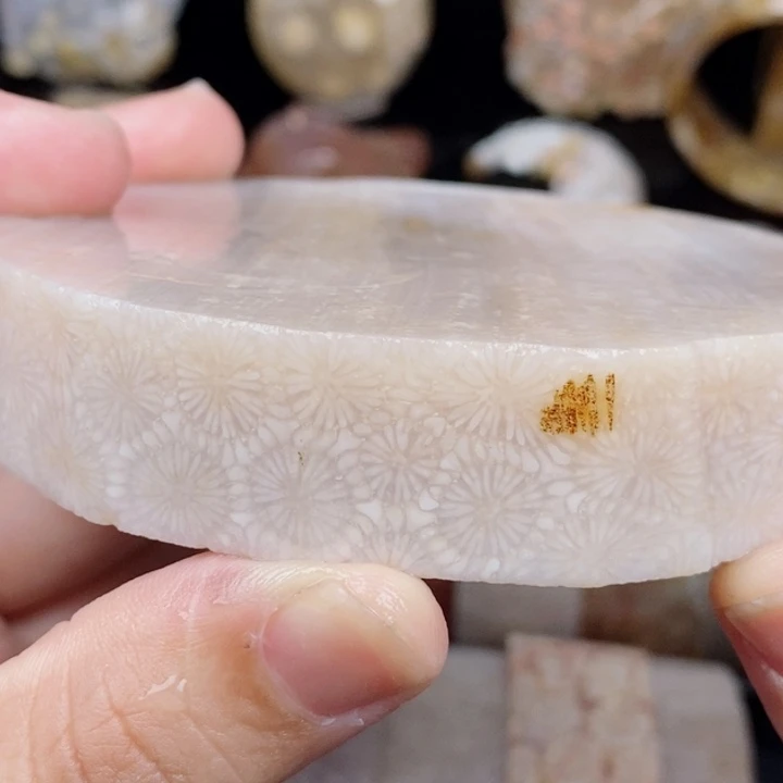 未镶嵌手镯硅化玉