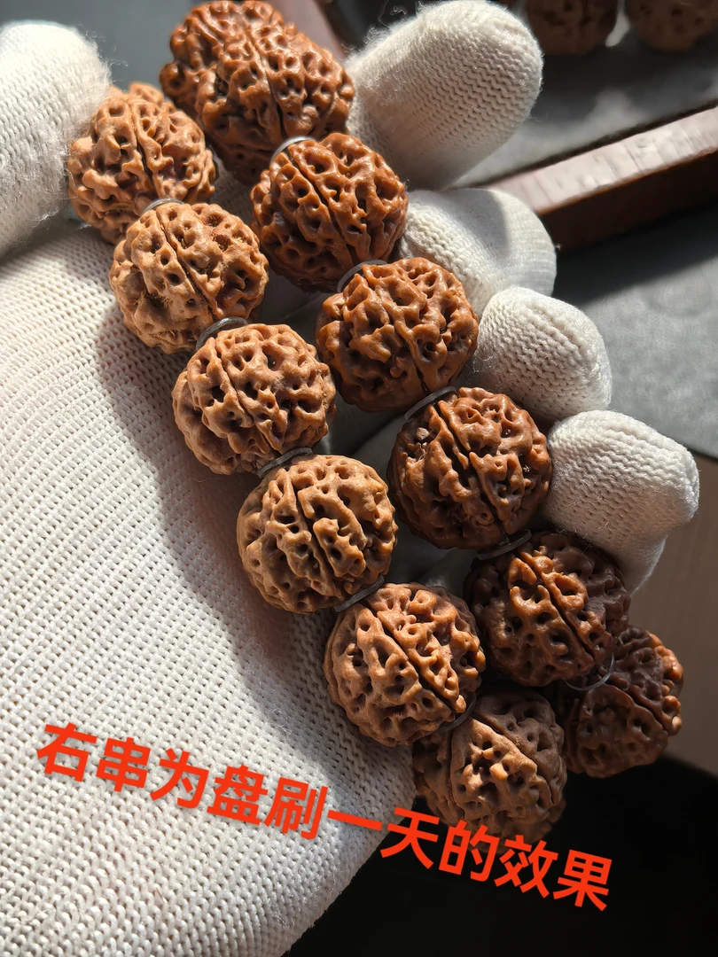 原生态五瓣爆肉双龙纹梅花桩老树大金刚菩提手串