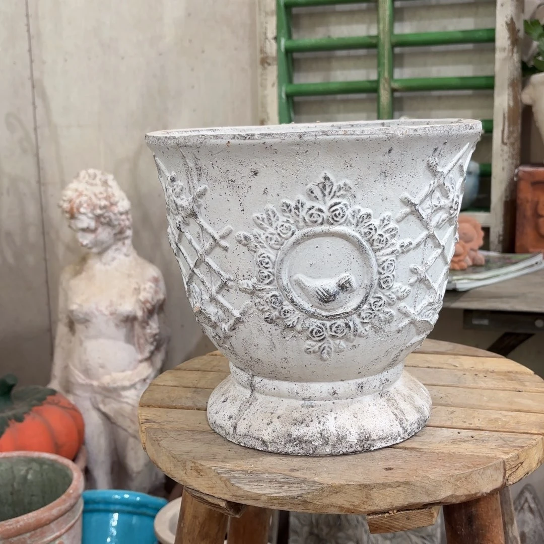 许纯的花房 白色鸟盆