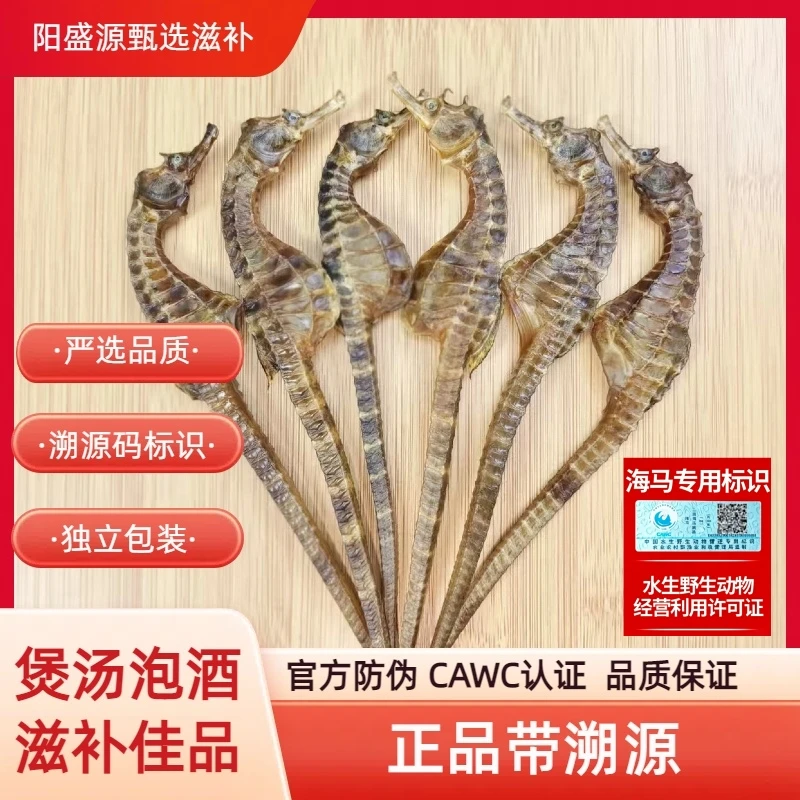 带溯源的正品保真海马干货可炖汤海马泡酒专用
