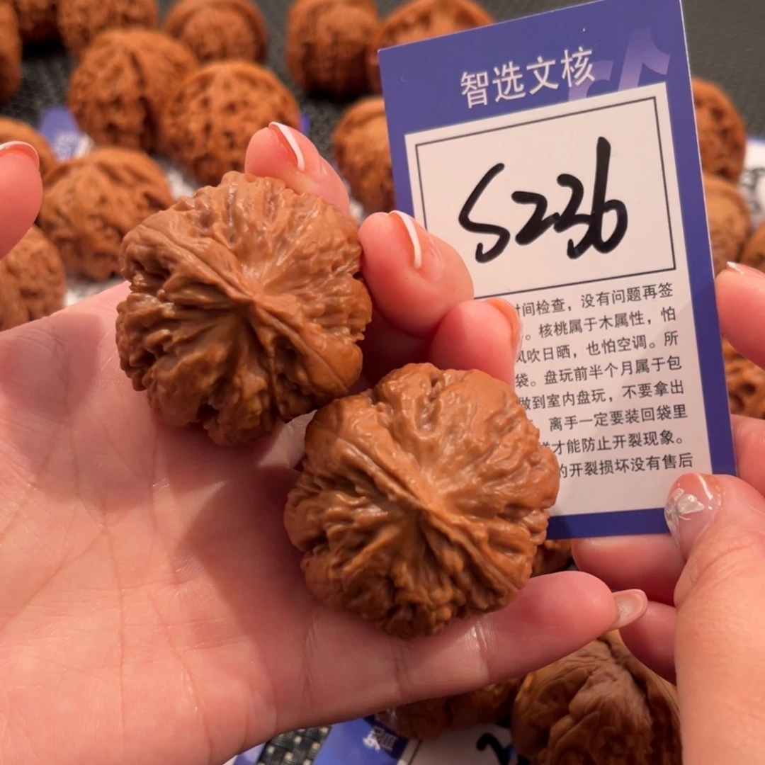 核桃S236号霸王龙40尺