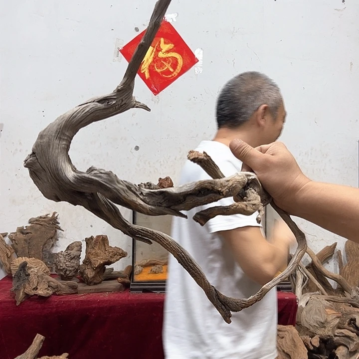 柏木孤*零我们都是好孩子呀我也