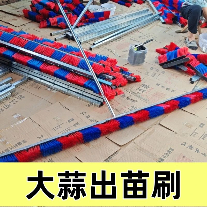 大蒜出苗神器破膜出苗刷大蒜人工推膜出芽神器人力破膜器推芽神器