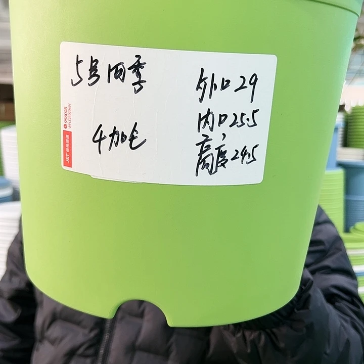 特价5号四季口29高24白色5个无托