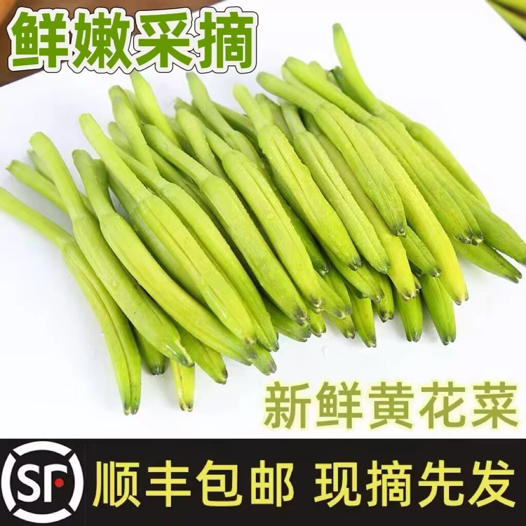 【顺丰包邮】25年新鲜黄花菜现摘金针菜凉拌鲜嫩黄花菜【抢先上市】
