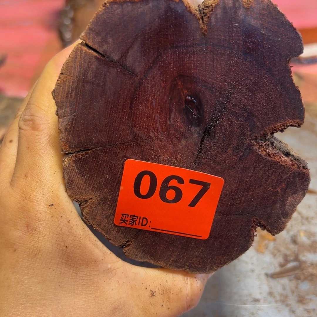 大果紫檀（缅甸花梨）