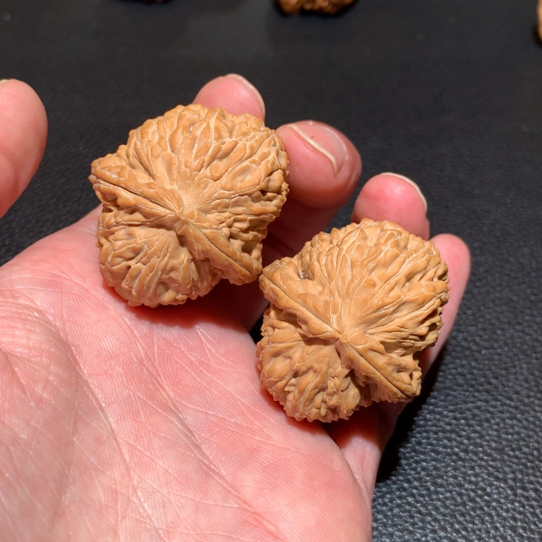 把件文玩核桃白狮子异形