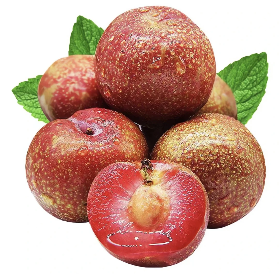 【全村人骑牛上山采摘】正宗钱排银妃三华李酸酸甜甜