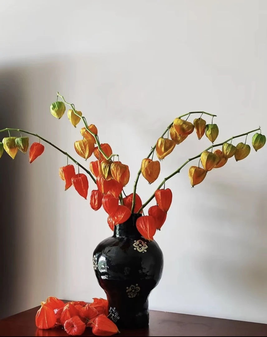 【酸浆果】秋季氛围感花材鲜花可做干花包邮到家~