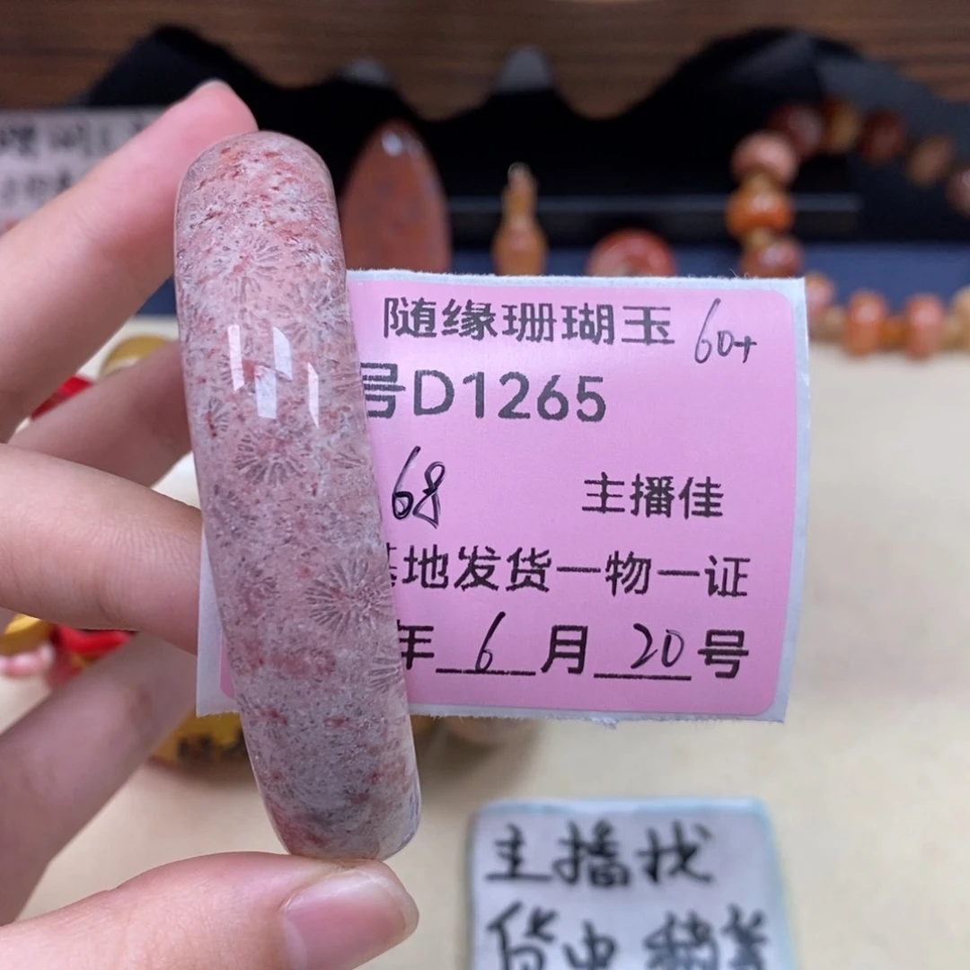 硅化珊瑚（珊瑚玉）D1265未镶嵌ℳ****