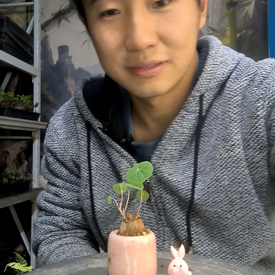 ค***叔中青园艺一物一拍299