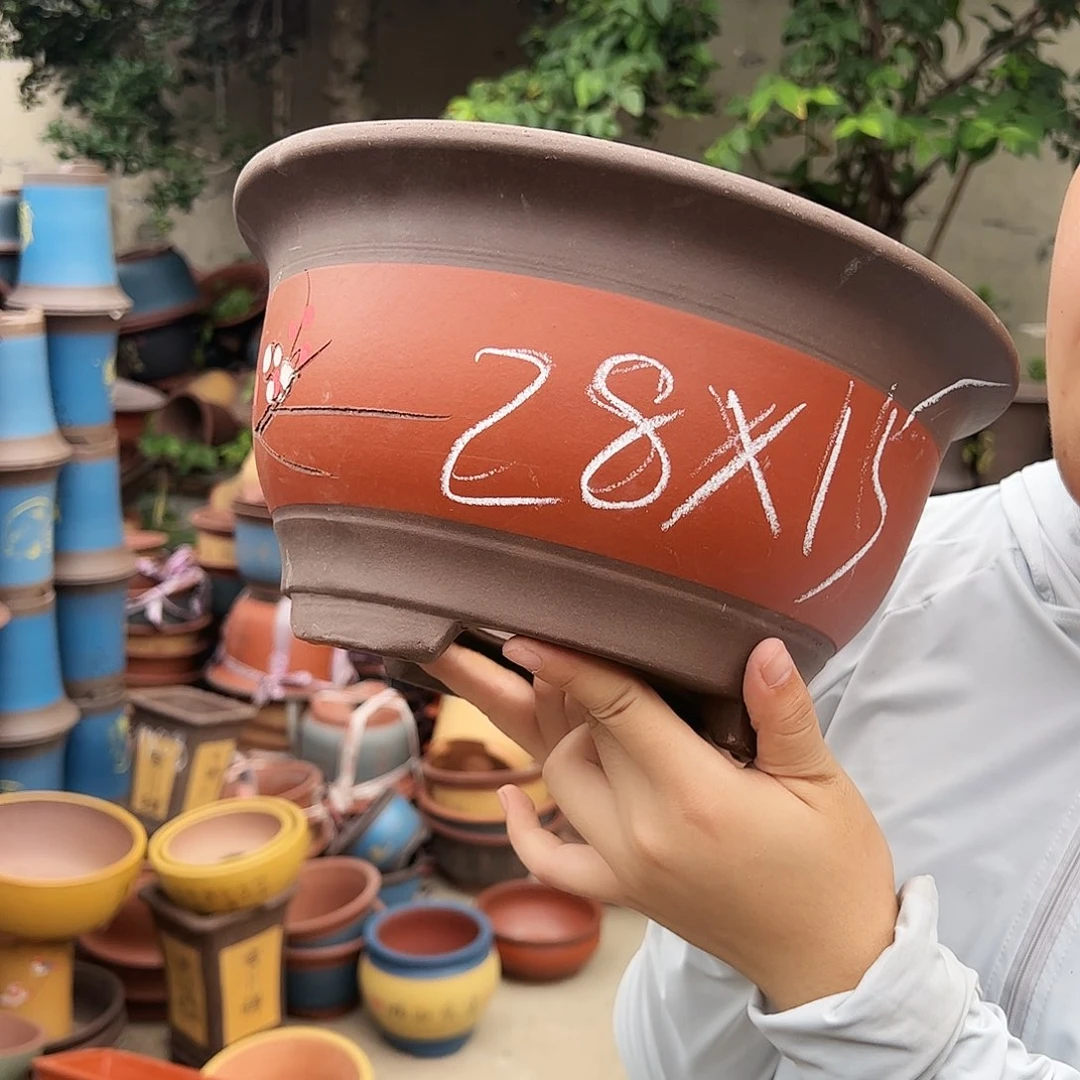 红富贵点彩大花盆花盆