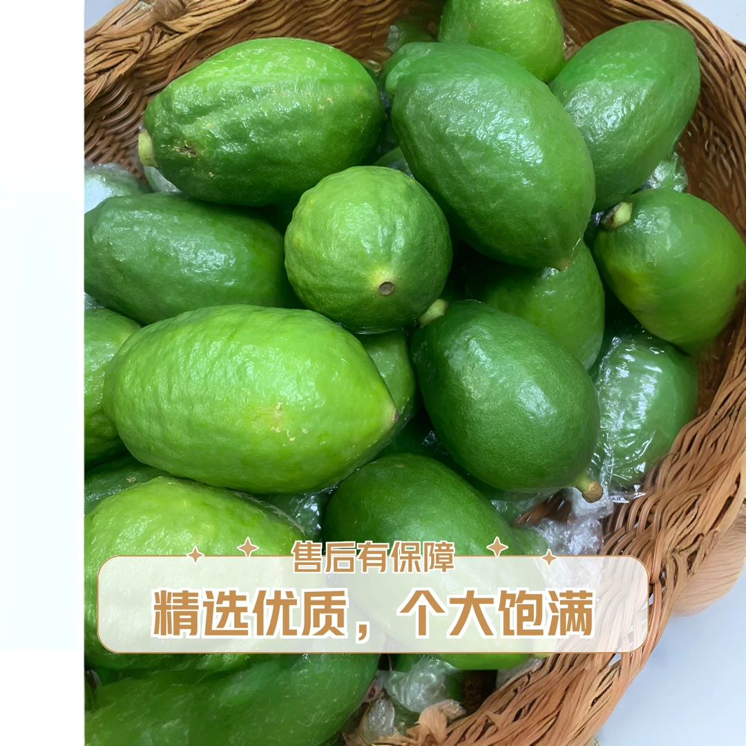 自选——广东无籽香水柠檬新鲜采摘清香型奶茶店专用手打柠檬茶原料